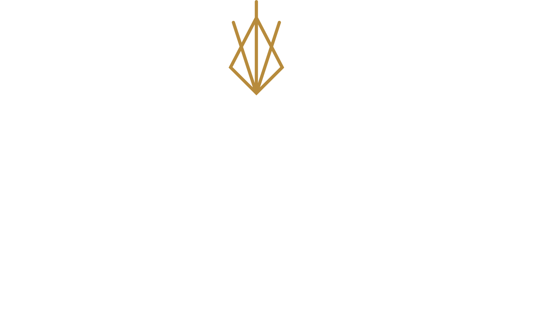 Snitches Fine Food & Spirits