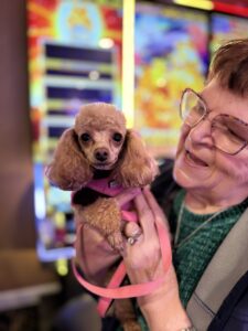 A small dog wearing a pink harness is being held by a person inside Tin Lizzie Gaming Resort, with colorful gaming machines visible in the background.